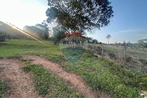 Venda-Terreno-Est. Jose Arcênio Correia Pinto , 68  - Bairro Fazenda Primavera  - Fazenda Primavera , Jarinu , São Paulo , 13.243-502-691131015-4