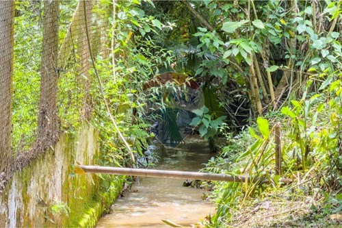 Slider Image Thumbnail