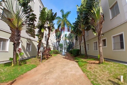 Venda-Apartamento-Avenida Guerino Lubiani , 610  - Dois Córregos , Piracicaba , São Paulo , 13420823-690571076-31