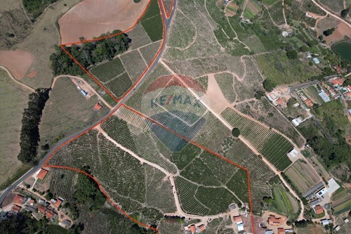 Venda-Agro-EST. MUN. JOSÉ AMATIS FRANCHI KM 1 B. DOS CUNHA , KM 1  - 4 KM CENTRO  - Centro , Serra Negra , São Paulo , 13930000-690291056-50