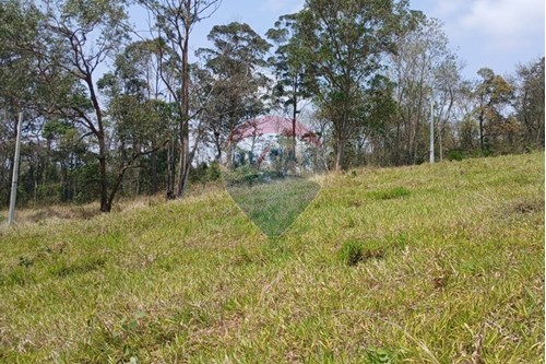 Venda-Terreno-Boa Vista , Bragança Paulista , São Paulo , 12928007-690141085-37