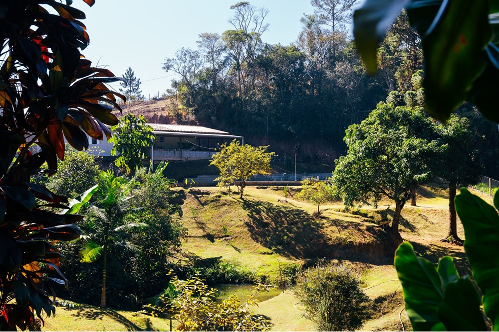 Fazenda à venda com 4 quartos, 240m² - Foto 15