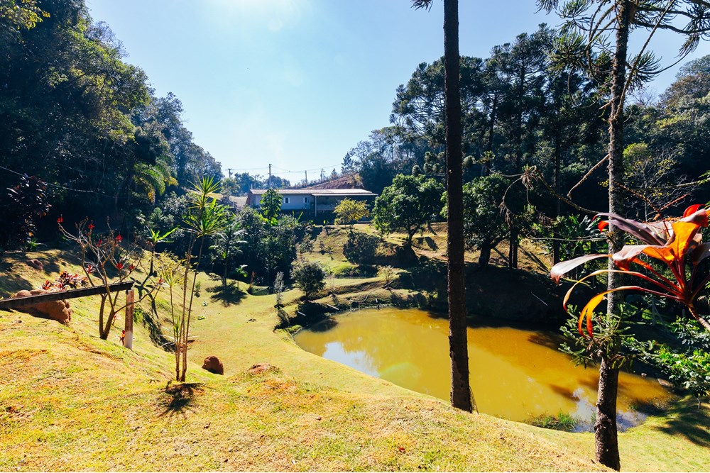 Fazenda à venda com 4 quartos, 240m² - Foto 14