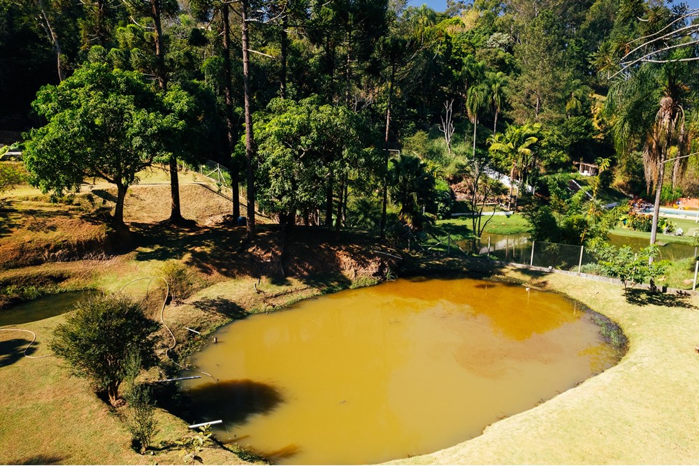 Fazenda à venda com 4 quartos, 240m² - Foto 7