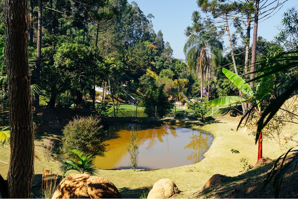 Fazenda à venda com 4 quartos, 240m² - Foto 13