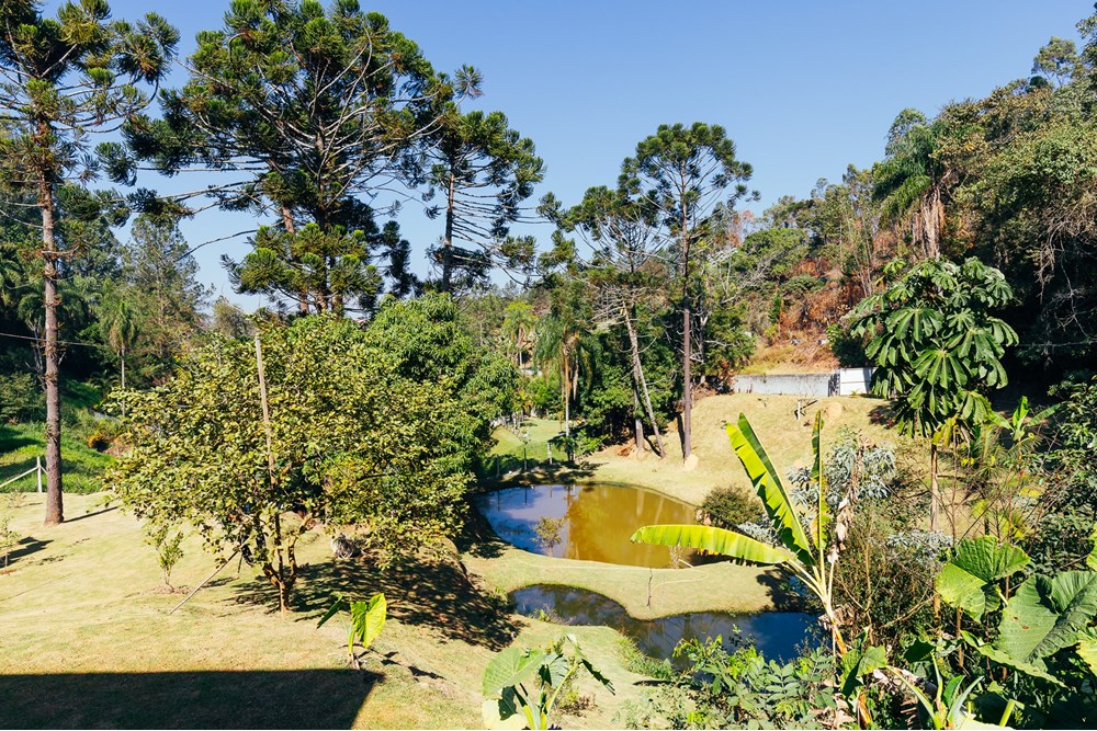 Fazenda à venda com 4 quartos, 240m² - Foto 17