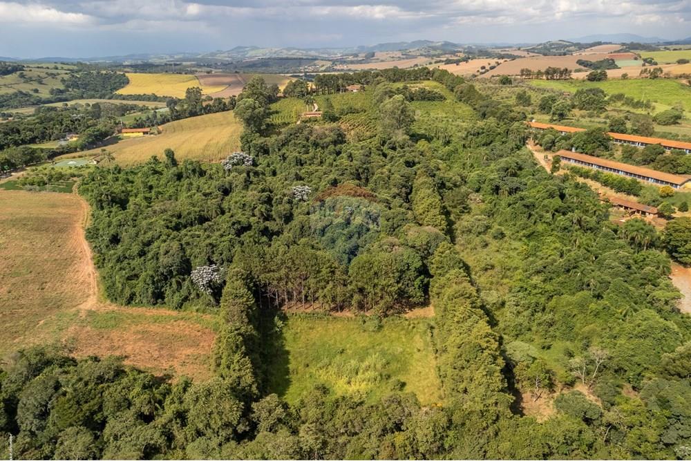 Chácara / Sítio / Fazenda - Venda - Morungaba , São Paulo - TKD-1772.jpg - 690661002-89