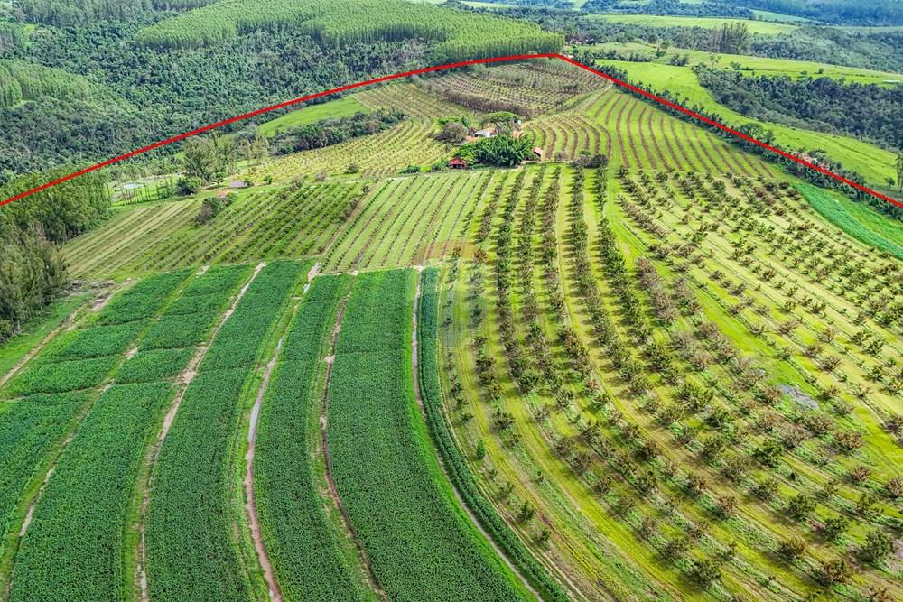 Fazenda - Venda - Analândia , São Paulo - Tratada - Drone-23.jpg - 690691016-305