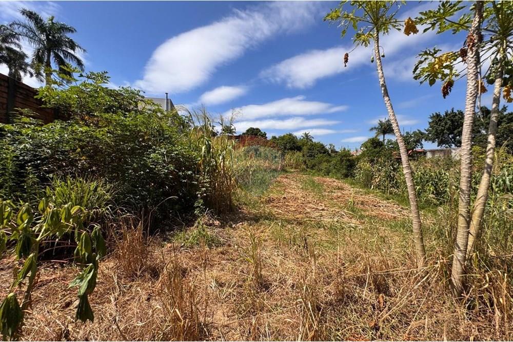 Chácara / Sítio / Fazenda - Venda - Capivari , São Paulo - foto 18.jpg - 690091006-483