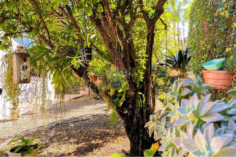 Casa - Venda - Mogi Mirim , São Paulo - IMG_3559.jpg - 690751017-122