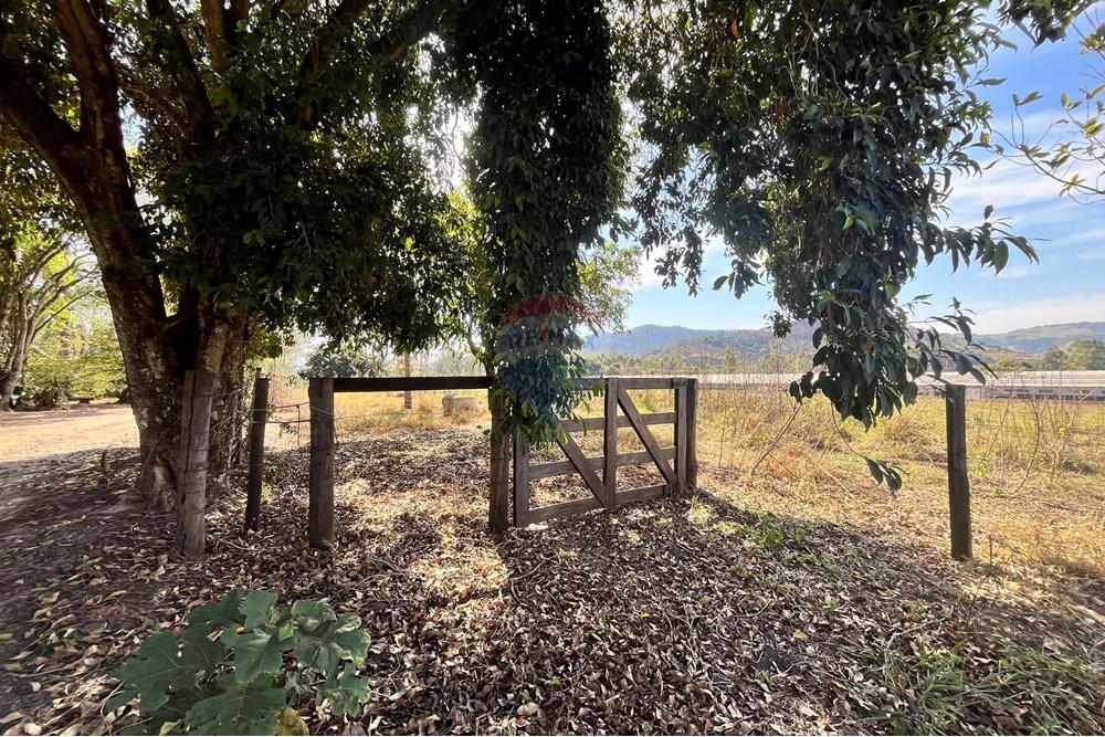 Chácara / Sítio / Fazenda - Venda - Corumbataí , São Paulo - WhatsApp Image 2025-08-27 at 15.48.04 (2).jpeg - 690811006-143