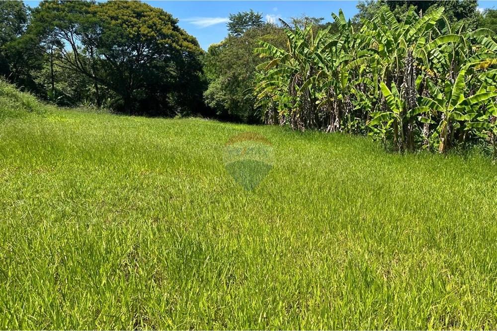 Chácara / Sítio / Fazenda - Venda - Paulínia , São Paulo - WhatsApp Image 2026-01-11 at 16.51.06.jpeg - 691181023-9