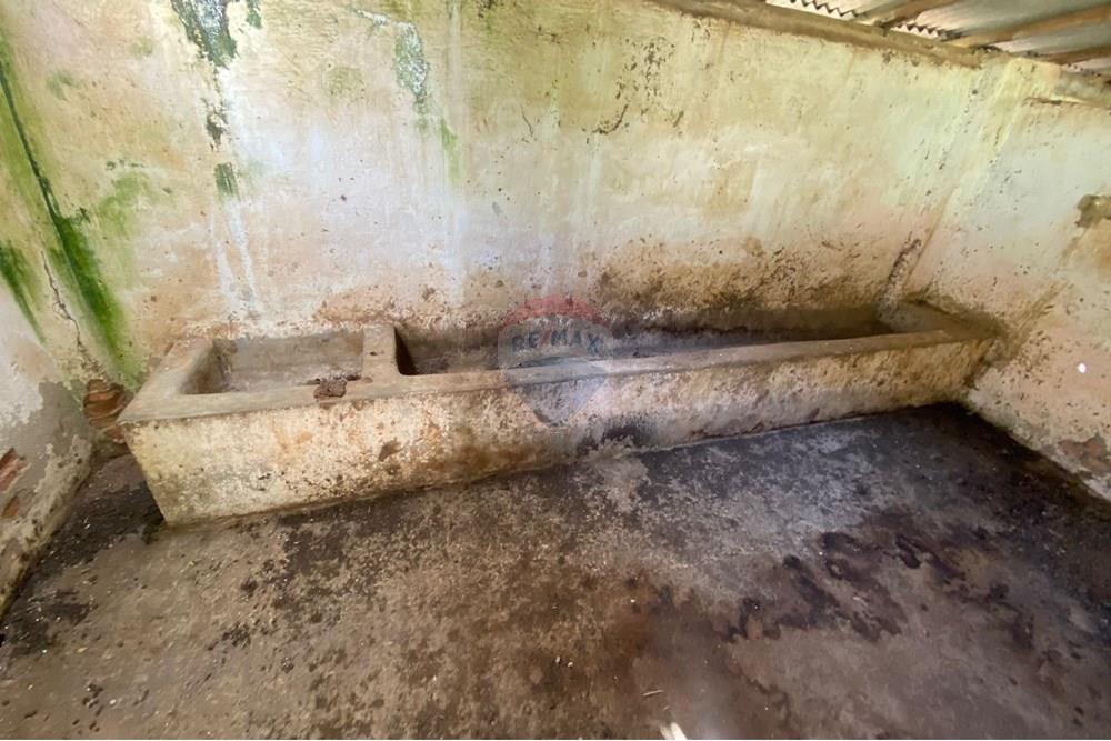 Chácara / Sítio / Fazenda - Venda - Joanópolis , São Paulo - 1e8a3bd7-0a0d-4ba7-8d02-4a1edddd6199.jpeg - 690041107-19