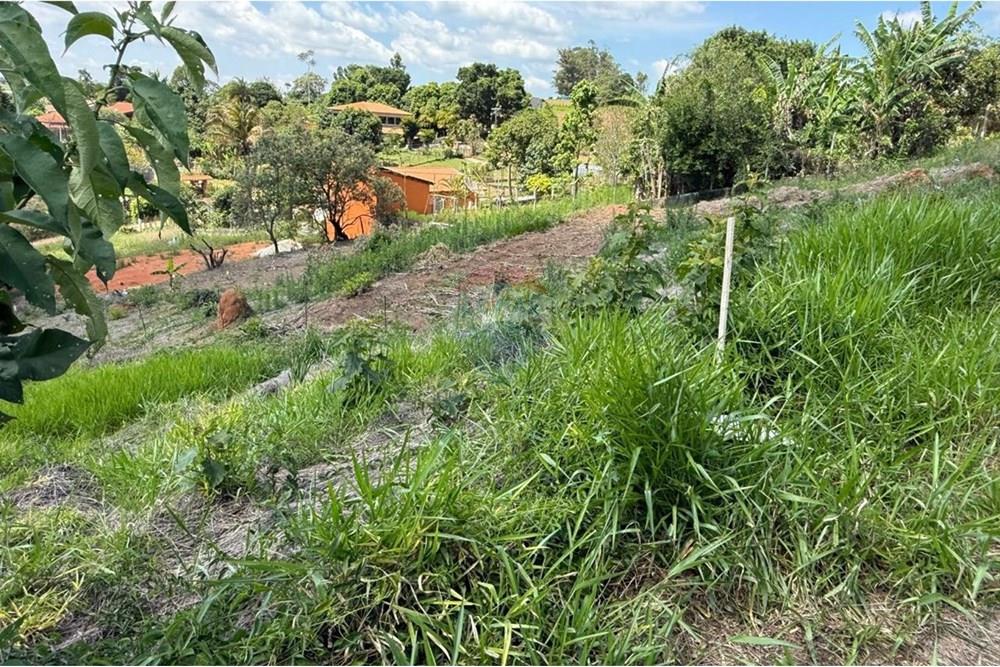 Terreno - Venda - Tuiuti , São Paulo - IMG-20251205-WA0118.jpg - 690041135-35