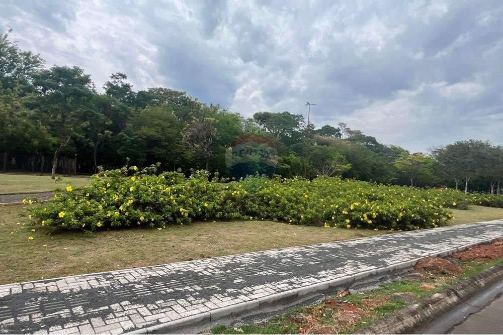 Terreno - Venda - Paulínia , São Paulo - IMG-20251029-WA0654.jpg - 690511143-107