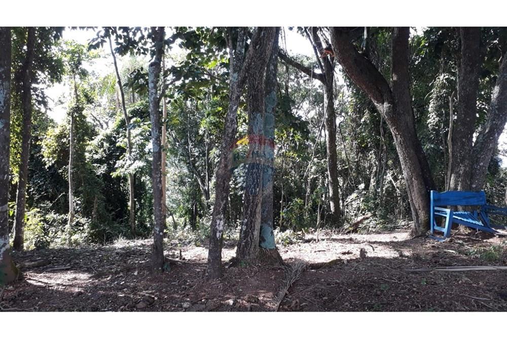 Terreno - Venda - Lindóia , São Paulo - WhatsApp Image 2025-05-20 at 17.11.45.jpeg - 690291056-36