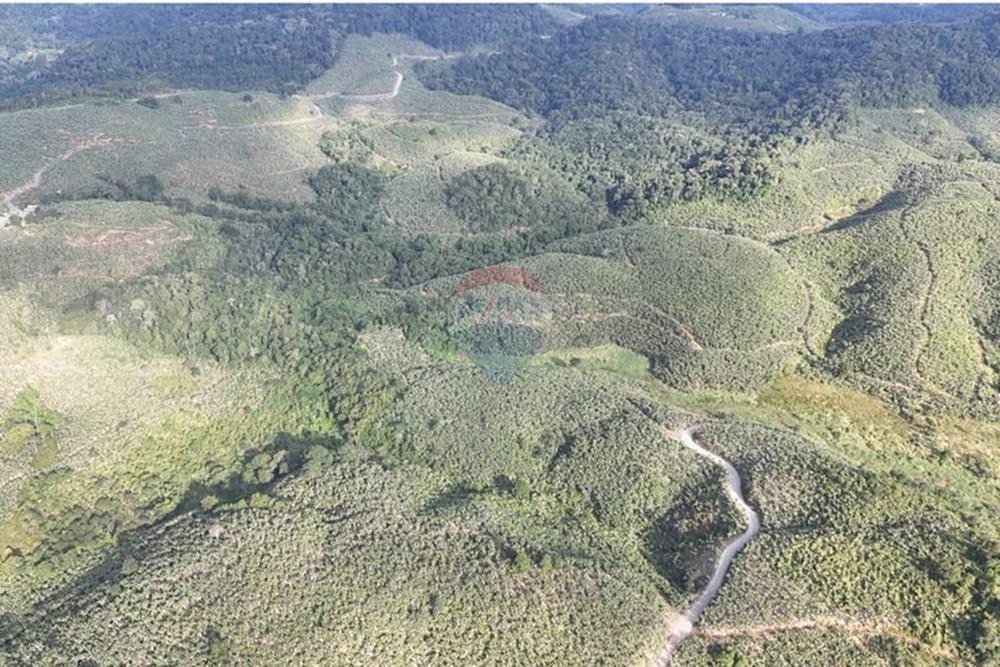 Fazenda - Venda - Miracatu , São Paulo - WhatsApp Image 2025-06-02 at 19.51.36.jpeg - 690061038-8