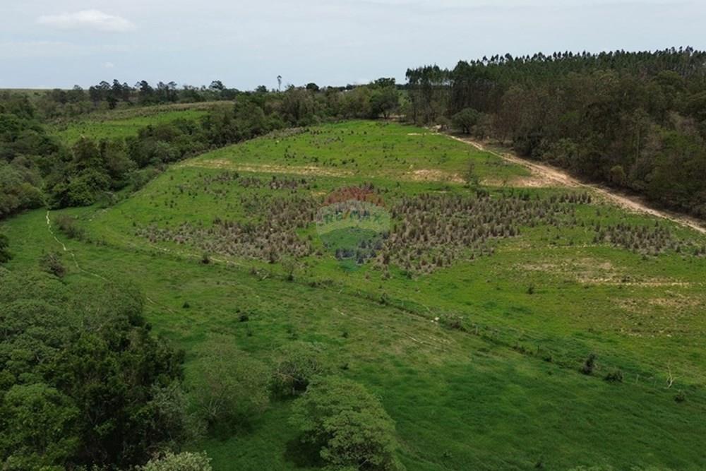 Agro - Venda - Capivari , São Paulo - DJI_0062.JPG - 690091006-563