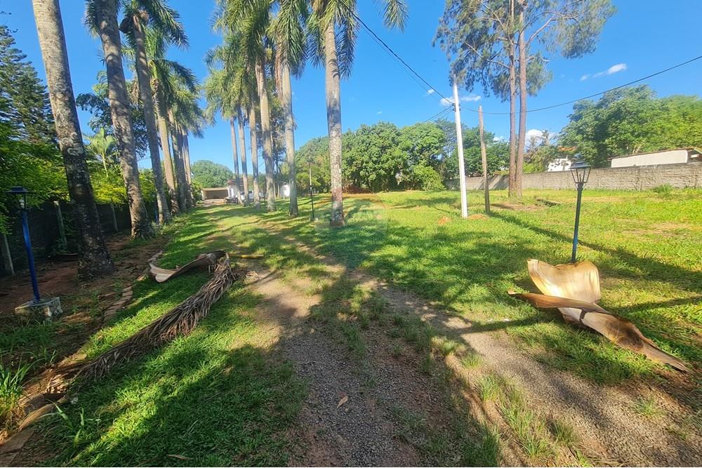 Agro - Alugar - Artur Nogueira , São Paulo - 20251120_155442.jpg - 690671009-93