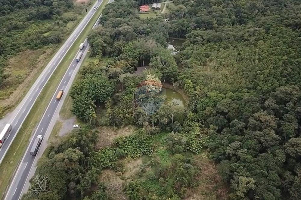 Fazenda - Venda - Juquiá , São Paulo - WhatsApp Image 2025-08-14 at 15.14.52 (12).jpeg - 690061038-11