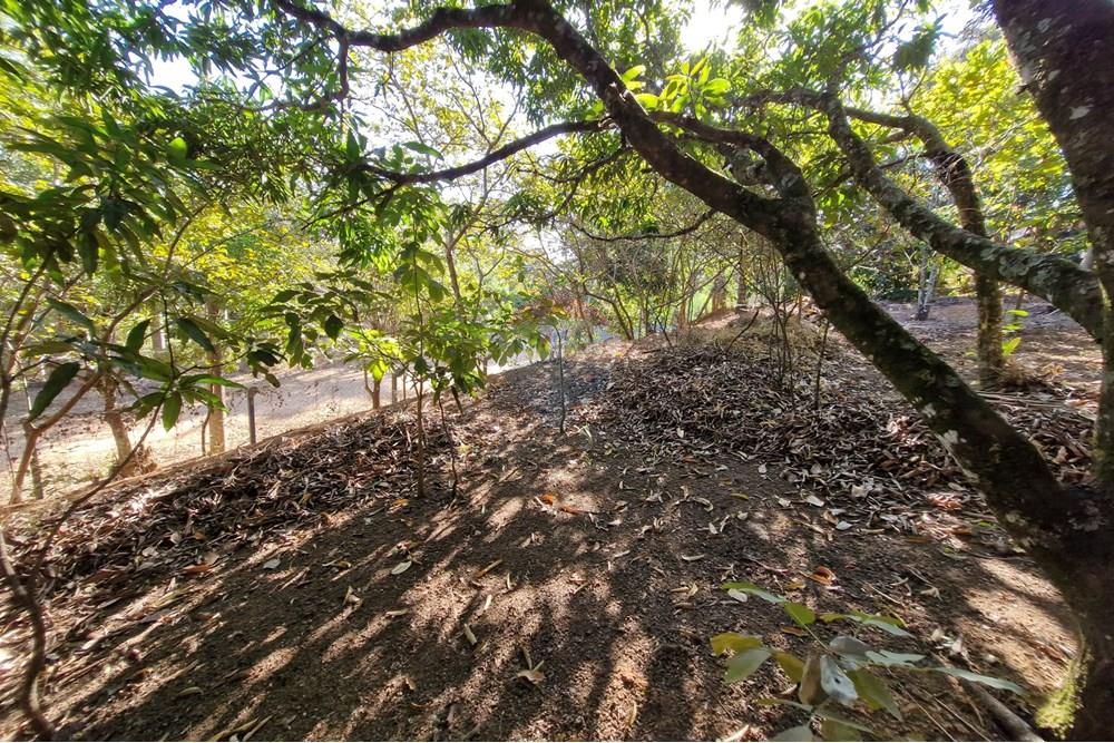 Terreno - Venda - Jaguariúna , São Paulo - 20250814_151959.jpg - 690671008-324