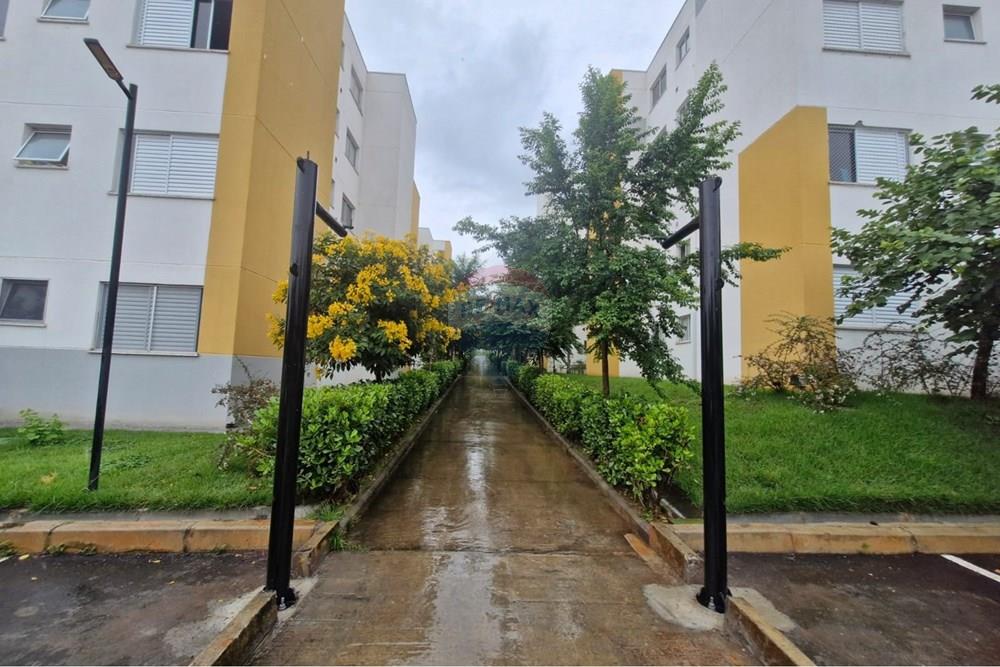 Apartamento - Venda - Paulínia , São Paulo - WhatsApp Image 2026-02-10 at 17.02.25.jpeg - 690511202-92