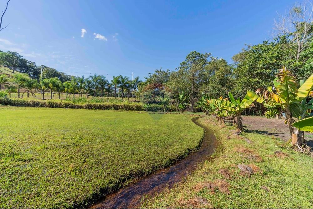 Chácara / Sítio / Fazenda - Venda - Itatiba , São Paulo - foto imobiliarias- brmaker00-360.jpg - 690661026-143