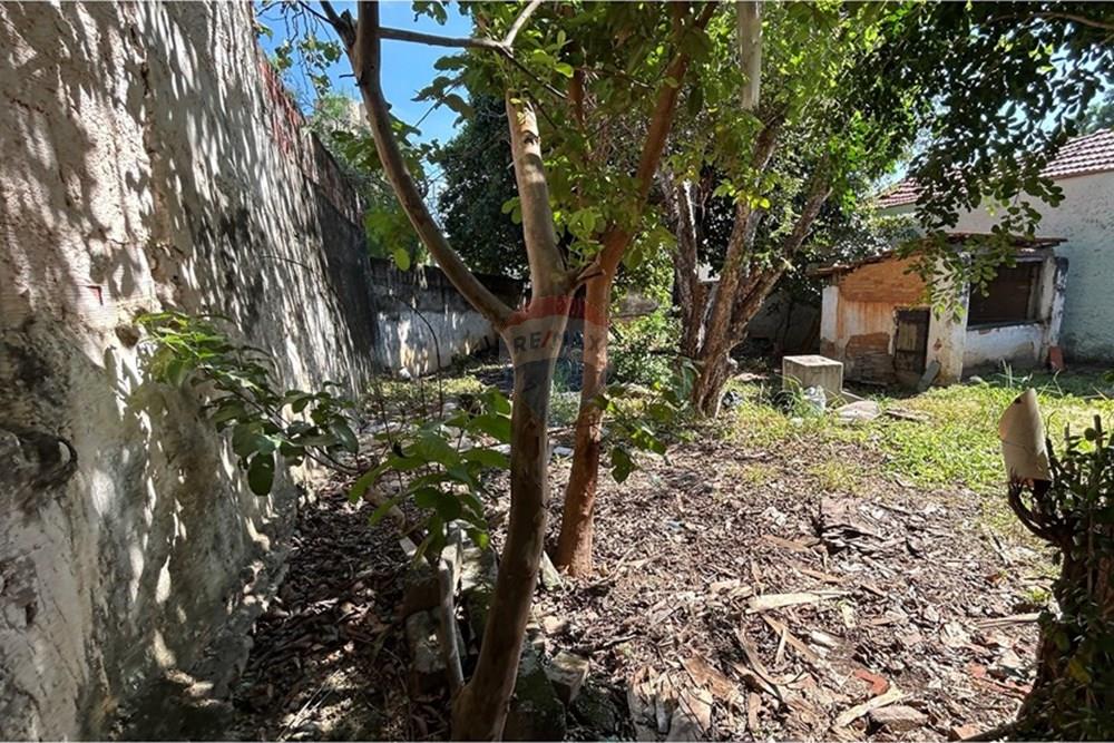 Terreno - Venda - Americana , São Paulo - IMG_8343.jpg - 690641010-528