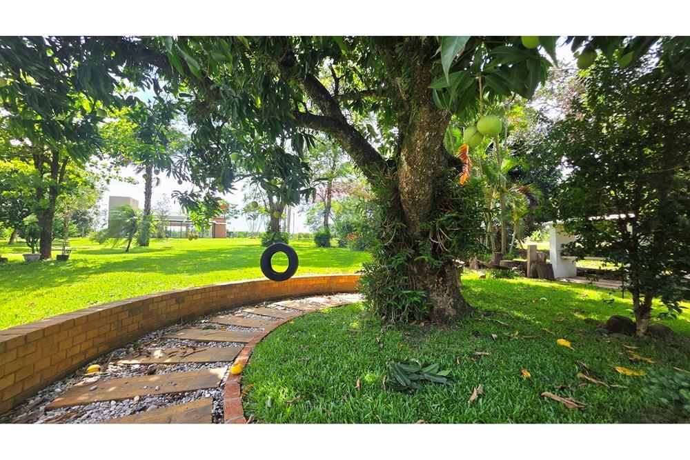 Chácara / Sítio / Fazenda - Venda - Mogi Mirim , São Paulo - 20251211_141515.jpg - 690751019-444