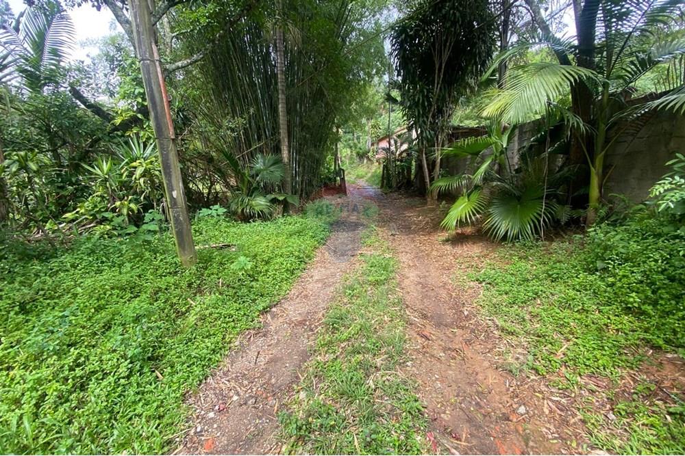 Chácara / Sítio / Fazenda - Venda - Mairiporã , São Paulo - 216a142e-7c3a-416c-8539-173385128b55.jpeg - 690041107-26