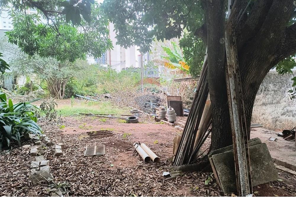 Terreno - Alugar - Campinas , São Paulo - WhatsApp Image 2025-06-30 at 16.57.02.jpeg - 690681149-54