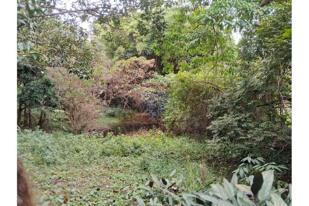 Chácara / Sítio / Fazenda - Venda - Valinhos , São Paulo - foto 17.jpg - 690851076-164