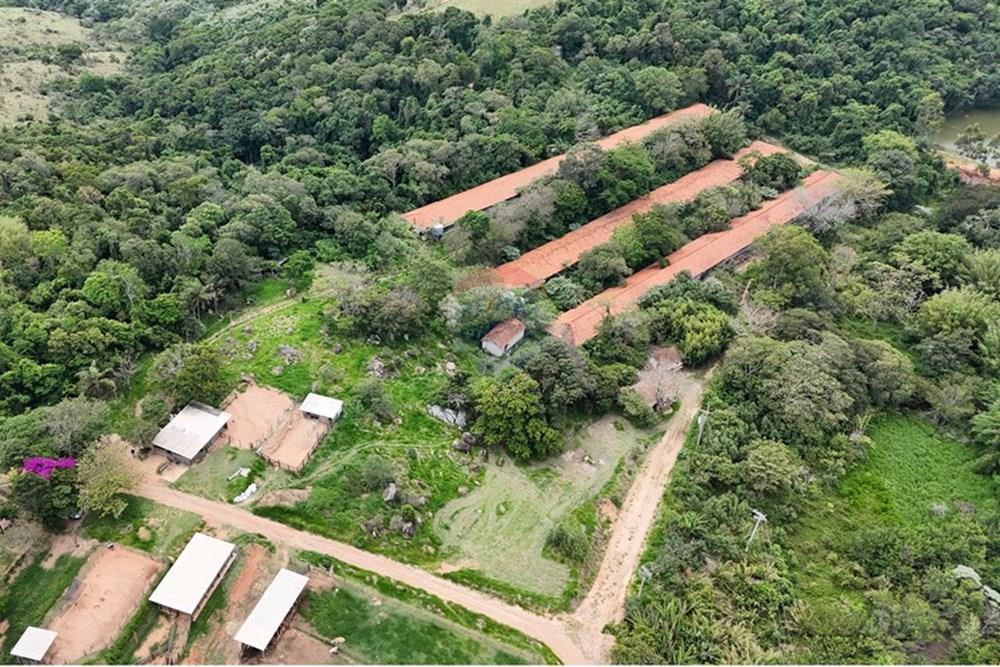 Chácara / Sítio / Fazenda - Venda - Pedreira , São Paulo - DJI_20251114124316_0029_D.JPG - 690671004-418