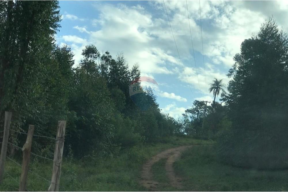 Chácara / Sítio / Fazenda - Venda - Socorro , São Paulo - IMG-20250520-WA0052.jpg - 690291056-39