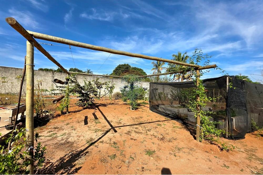 Chácara / Sítio / Fazenda - Venda - Mogi Mirim , São Paulo - 20250717_102852.jpg - 690751050-149