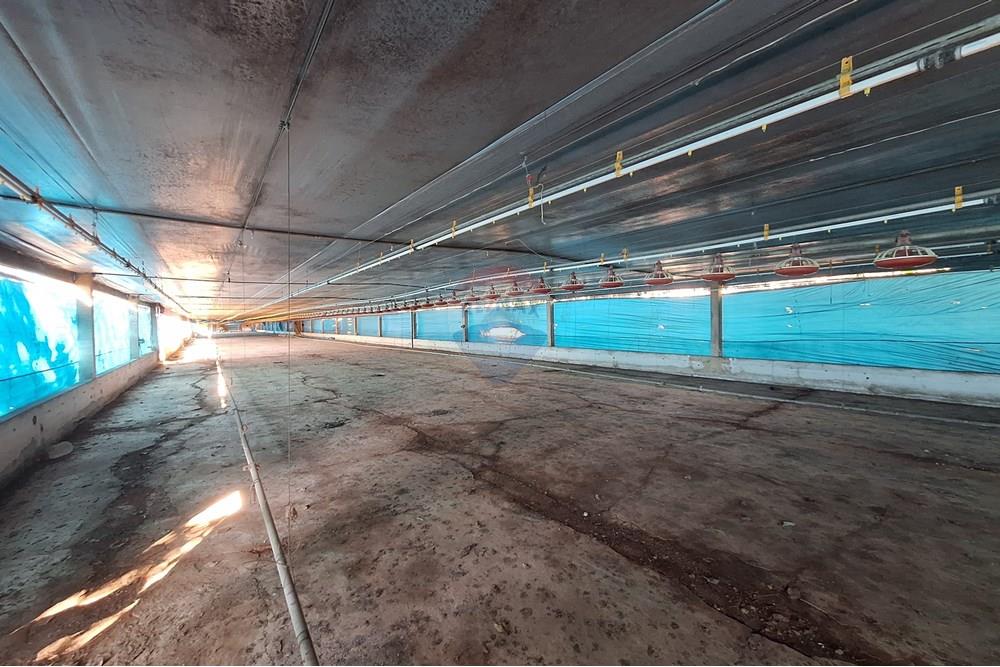 Chácara / Sítio / Fazenda - Venda - Itapira , São Paulo - 20250626_094733.jpg - 690751048-290