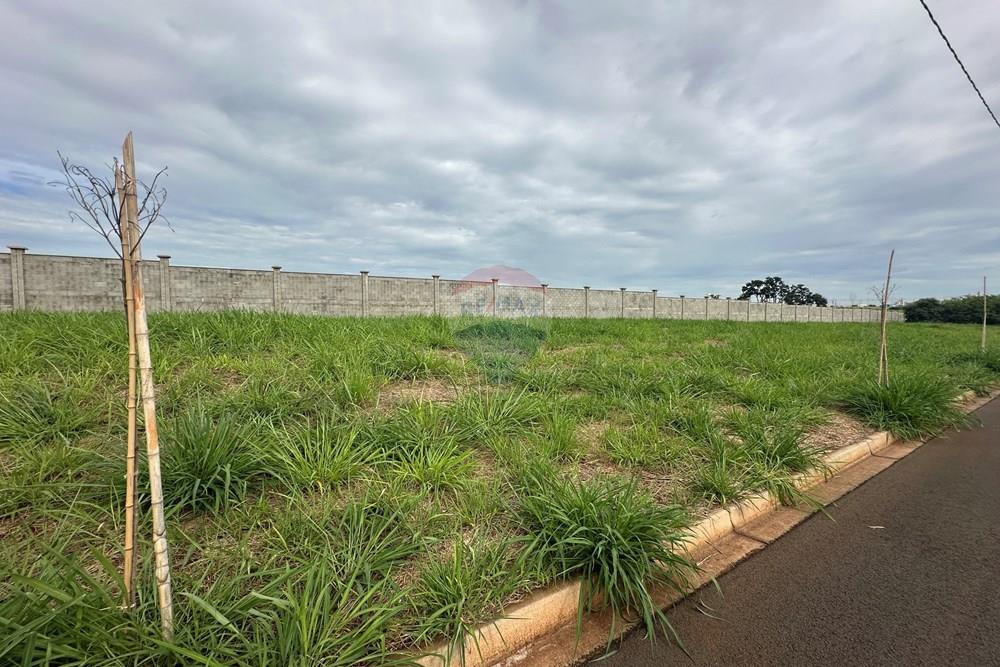 Terreno - Venda - Santa Bárbara d'Oeste , São Paulo - IMG_7670.jpg - 691071035-52