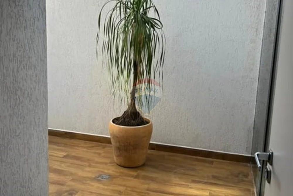 Cj. Comercial/ Sala - Alugar - Mogi Guaçu , São Paulo - WhatsApp Image 2026-03-21 at 13.31.21.jpeg - 690521079-222