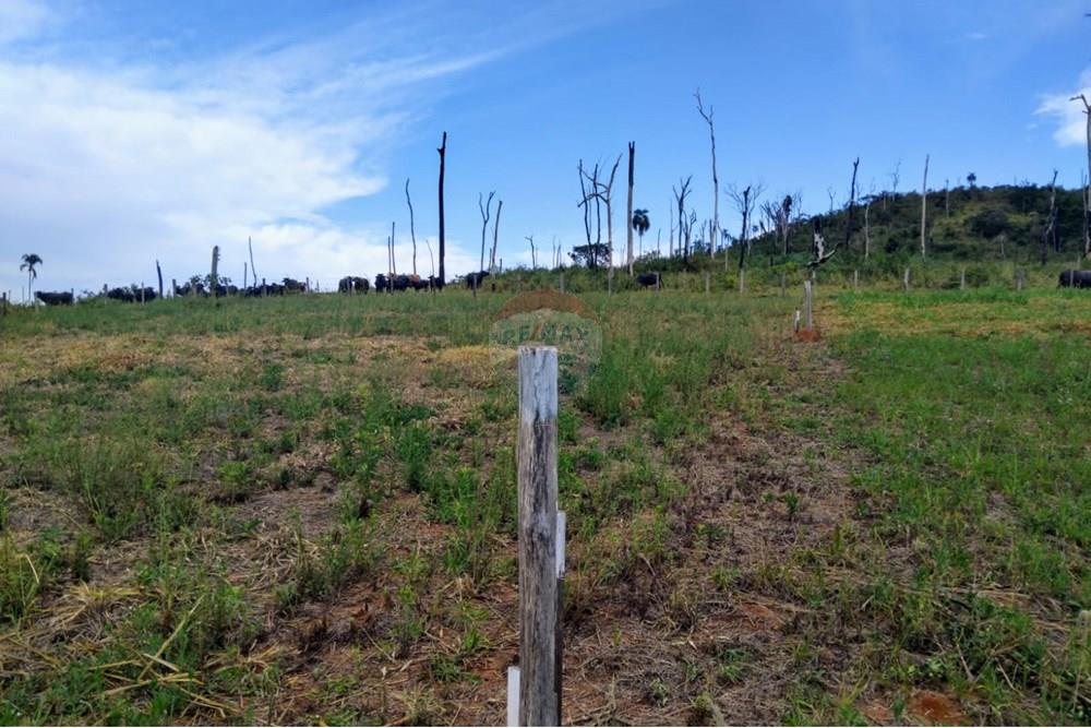 Terreno - Venda - Itapira , São Paulo - WhatsApp Image 2025-09-09 at 14.32.02.jpeg - 690291083-3