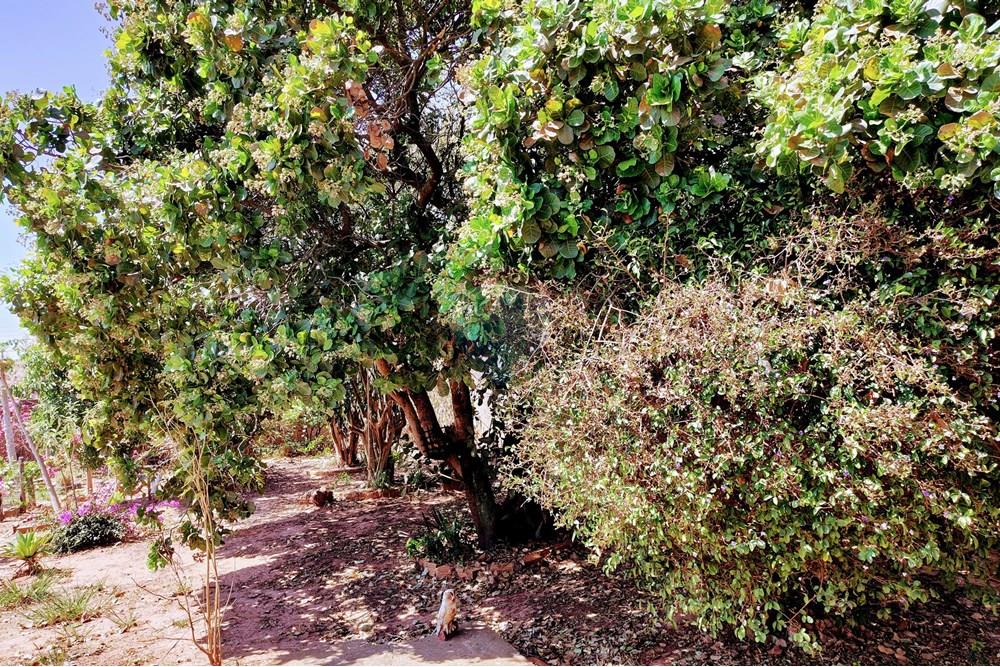 Chácara / Sítio / Fazenda - Venda - Cosmópolis , São Paulo - IMG_20250917_130433982_HDR.jpg - 690511001-1554