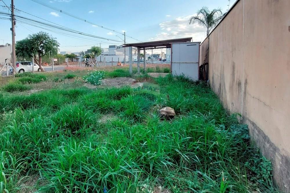 Terreno - Alugar - Americana , São Paulo - Terreno comercial para locação no Jardim Terramérica-1087-6-05.jpg - 690231083-29
