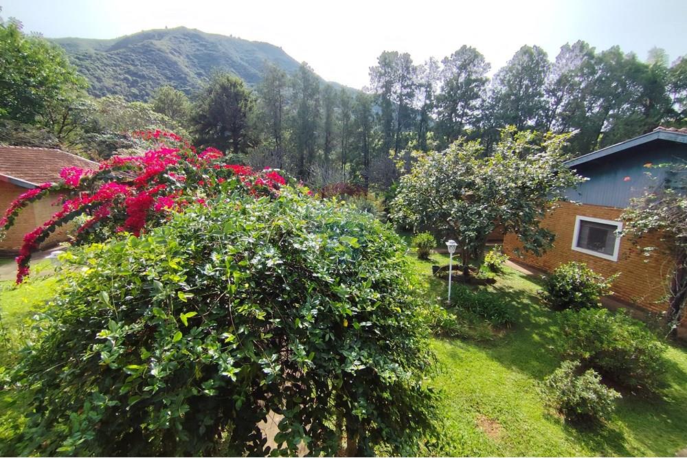 Chácara / Sítio / Fazenda - Venda - Águas de Lindóia , São Paulo - 1750451210043.jpg - 690521007-293