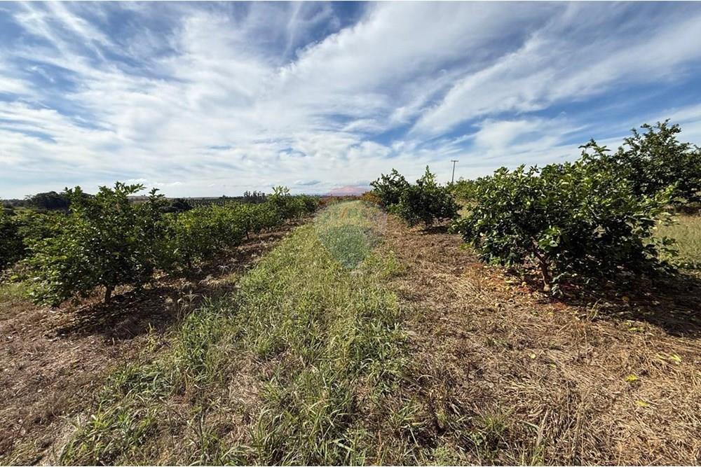 Chácara / Sítio / Fazenda - Venda - Itapira , São Paulo - WhatsApp Image 2025-07-07 at 10.48.41.jpeg - 690521014-143