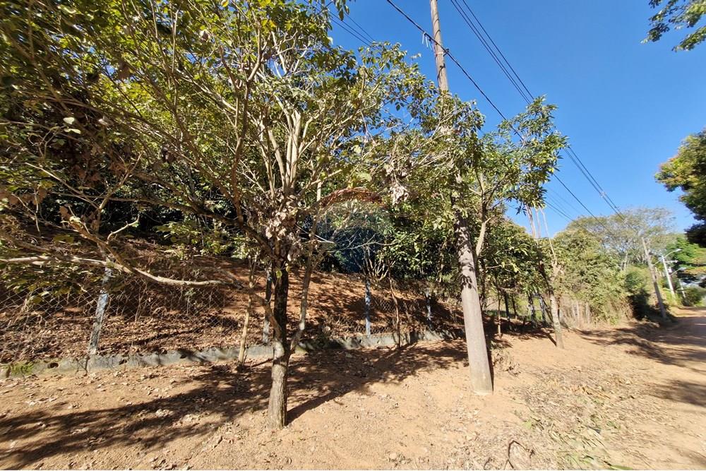 Terreno - Venda - Jaguariúna , São Paulo - 20250814_152146.jpg - 690671008-327