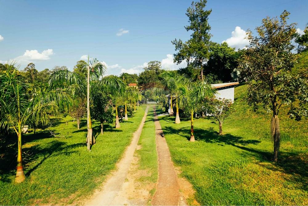 Chácara / Sítio / Fazenda - Venda - Itupeva , São Paulo - Santa Elisa-53.jpg - 690801020-224