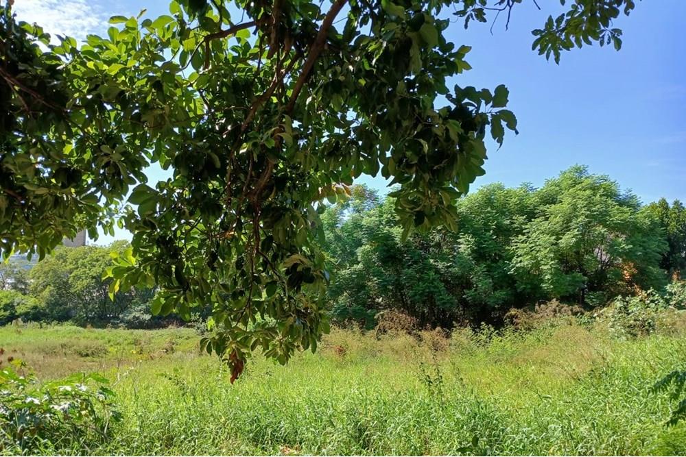 Terreno - Venda - Várzea Paulista , São Paulo - WhatsApp Image 2025-06-29 at 14.41.54.jpeg - 690791001-211