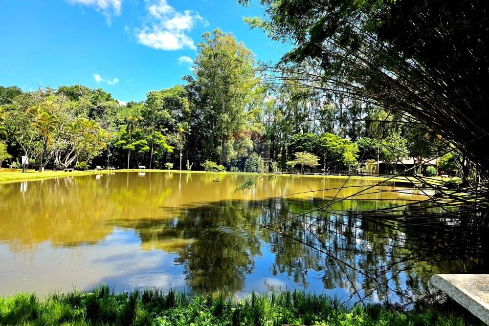 Chácara / Sítio / Fazenda - Venda - Jaguariúna , São Paulo - 20260126_104759.jpg - 690671078-421