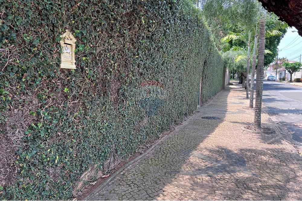 Casa Comercial - Alugar - Campinas , São Paulo - IMG_5498.JPG - 690681050-227