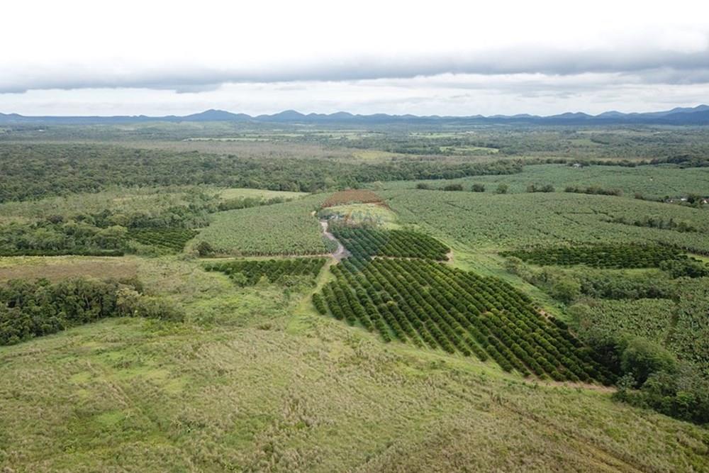 Fazenda - Venda - Pariquera-Açu , São Paulo - BJTY8847.JPG - 690061038-26