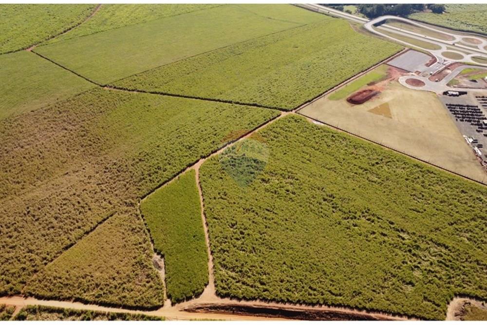 Terreno - Venda - Rio das Pedras , São Paulo - DJI_0398.JPG - 690781159-3